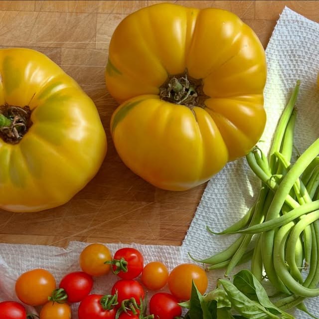 Heirloom tomatoes, cherry tomatoes and green beans from the garden